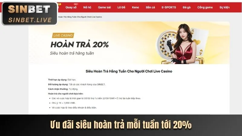 Biểu đồ phân loại các loại cookie mà 56win game sử dụng